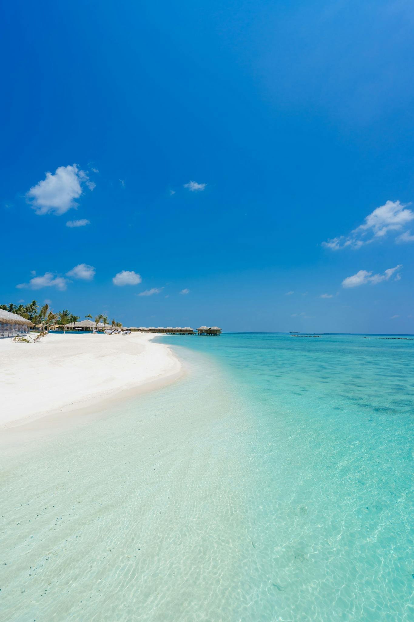 Experience the serene white sands and crystal-clear waters of a tropical Maldives beach.