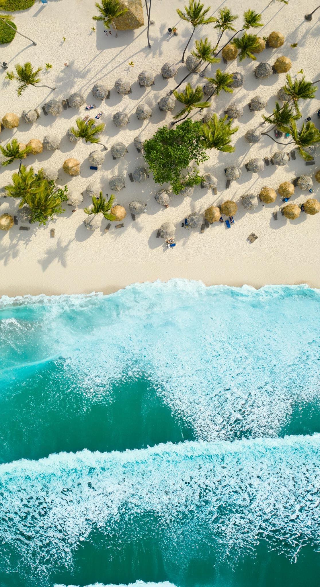Stunning aerial shot of a tropical beach with turquoise waves and palm trees in the Dominican Republic.