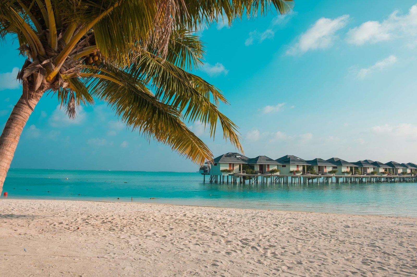 Sunny tropical beach with coconut trees and turquoise water. Perfect vacation spot.